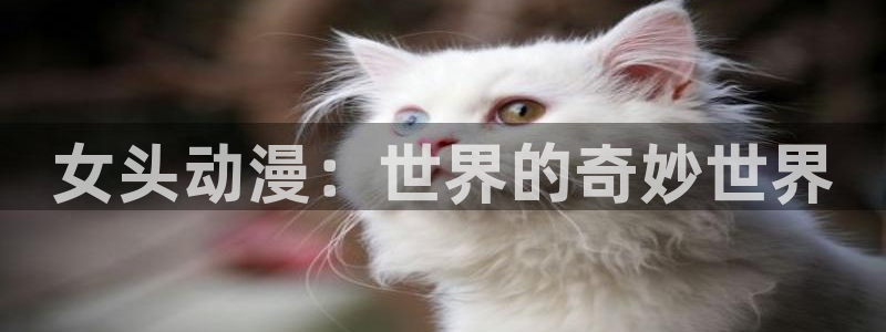 百合伦理动漫